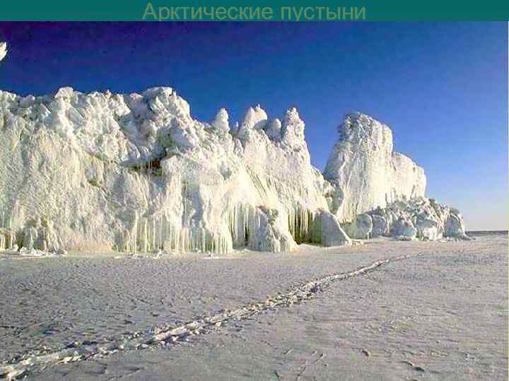 Арктические пустыни 