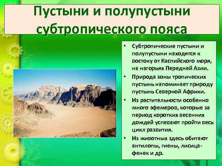 Пустыни и полупустыни субтропического пояса   • Субтропические пустыни и   