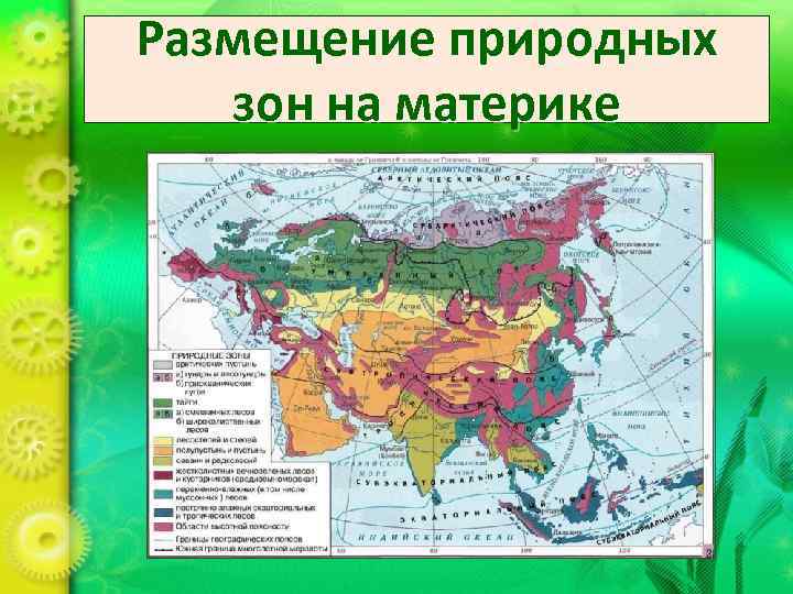 Размещение природных  зон на материке 