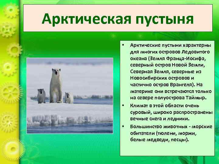 Арктическая пустыня  •  Арктические пустыни характерны   для многих островов Ледовитого