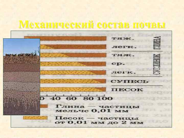Механический состав почвы 