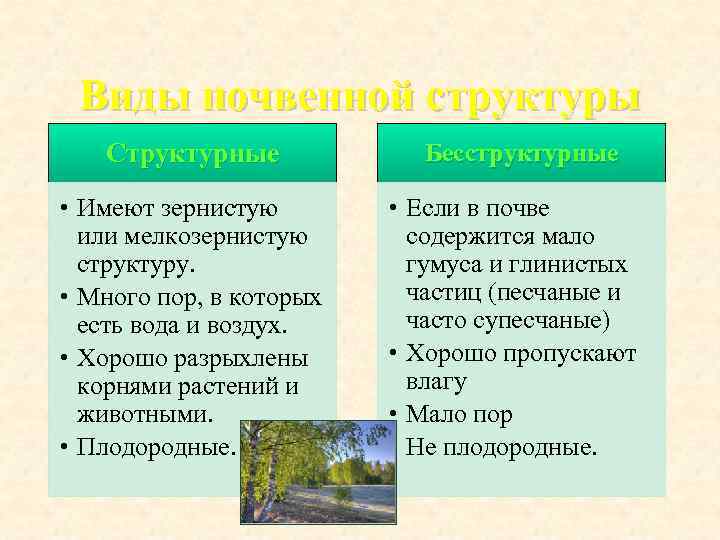 Виды почвенной структуры  Структурные   Бесструктурные  • Имеют зернистую 