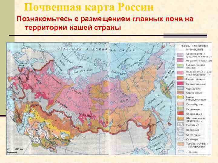  Почвенная карта России Познакомьтесь с размещением главных почв на  территории нашей страны