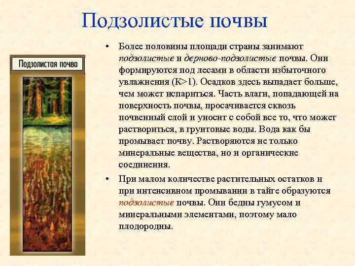 Подзолистые почвы  • Более половины площади страны занимают подзолистые и дерново-подзолистые почвы. Они