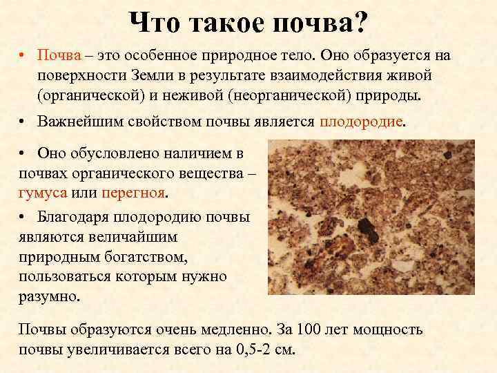    Что такое почва?  • Почва – это особенное природное тело.