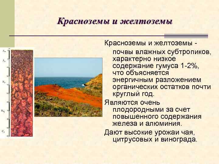 Красноземы и желтоземы   Красноземы и желтоземы -  почвы влажных субтропиков, 
