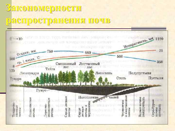 Закономерности распространения почв 