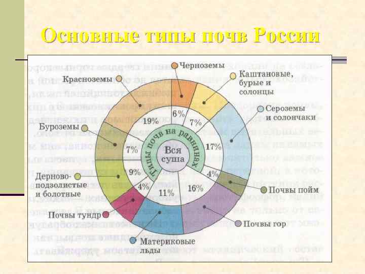 Основные типы почв России 