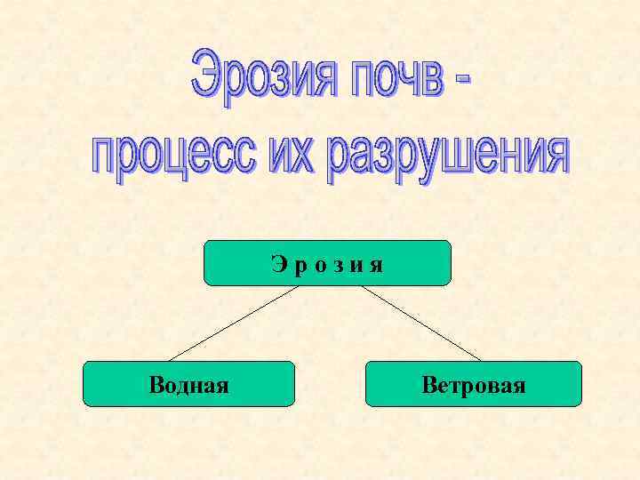    Эрозия  Водная  Ветровая 