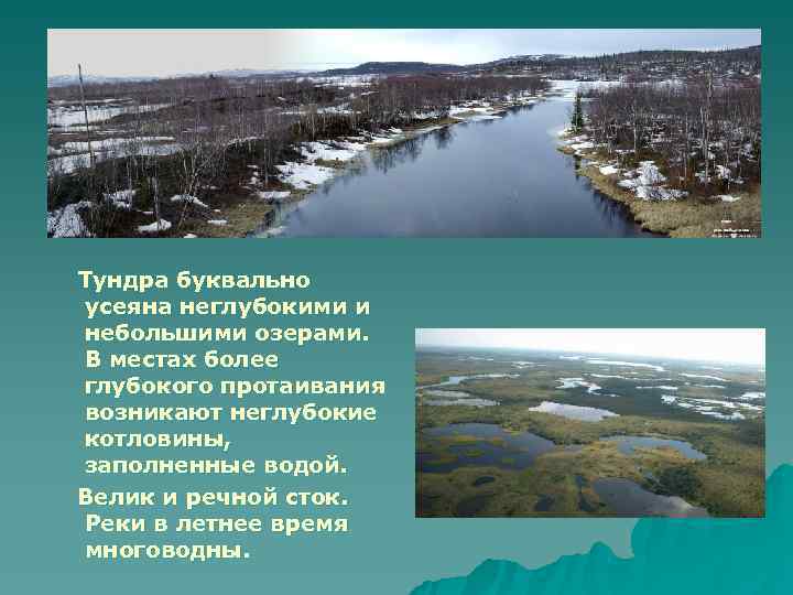 Тундра буквально усеяна неглубокими и небольшими озерами. В местах более глубокого протаивания возникают неглубокие