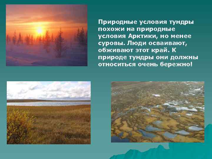 Природные условия тундры похожи на природные условия Арктики, но менее суровы. Люди осваивают, обживают