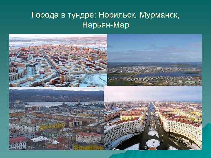 Города в тундре: Норильск, Мурманск,   Нарьян-Мар 
