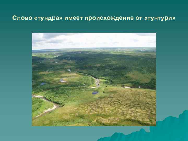 Слово «тундра» имеет происхождение от «тунтури» 