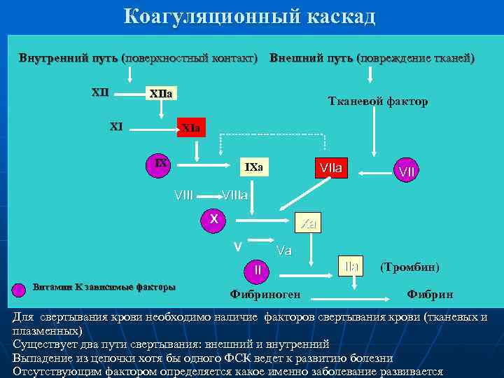      Коагуляционный каскад Внутренний путь (поверхностный контакт) Внешний путь (повреждение