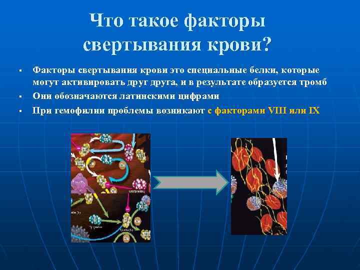     Что такое факторы    свертывания крови? § 