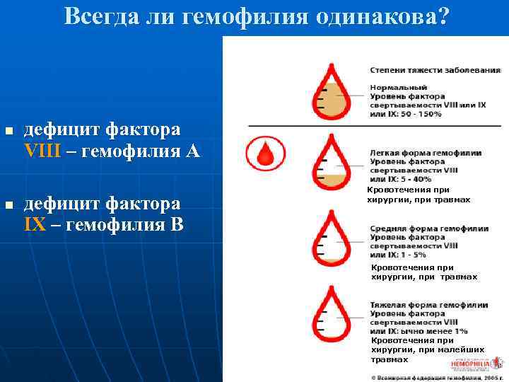   Всегда ли гемофилия одинакова? n  дефицит фактора VIII – гемофилия А