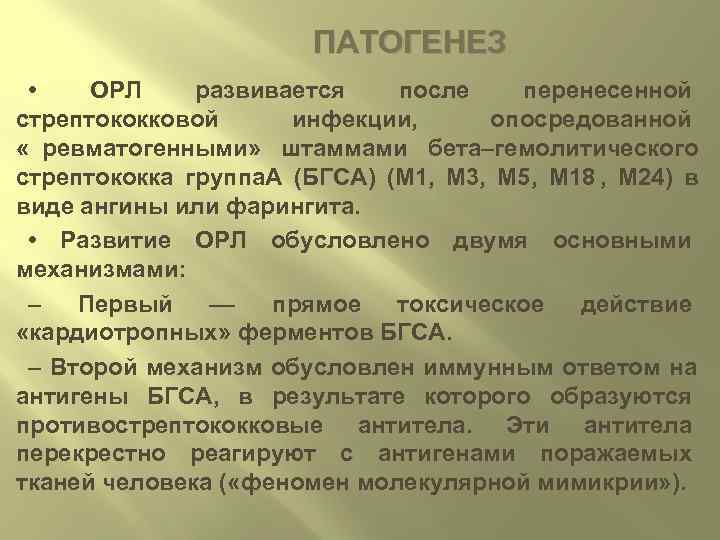      ПАТОГЕНЕЗ  • ОРЛ развивается после перенесенной стрептококковой 