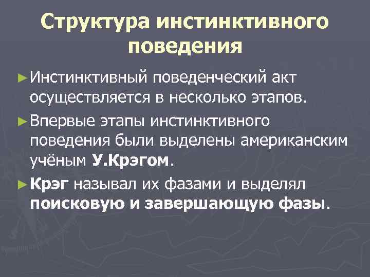  Структура инстинктивного   поведения ► Инстинктивный поведенческий акт  осуществляется в несколько