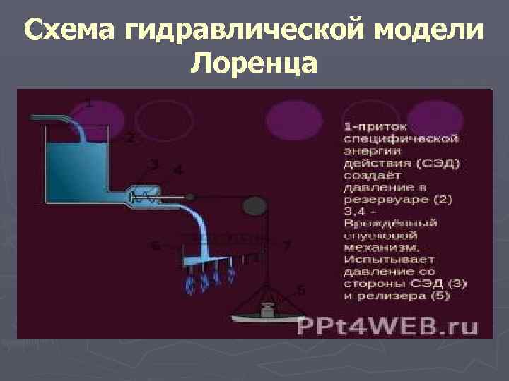 Схема гидравлической модели  Лоренца 