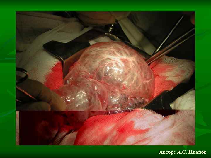 Автор: А. С. Иванов 