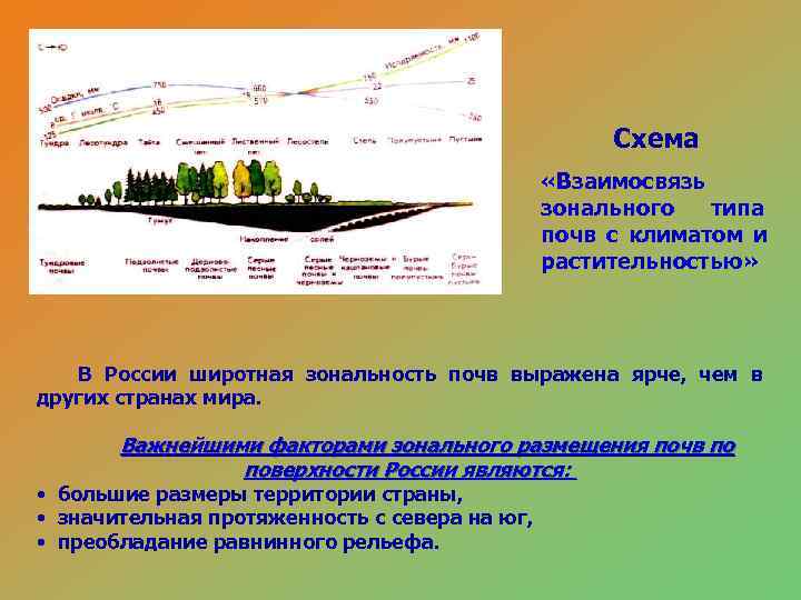 Главная причина широтной зональности изменение. Взаимосвязь типов почв с климатом и растительностью. Широтная зональность почв в России.