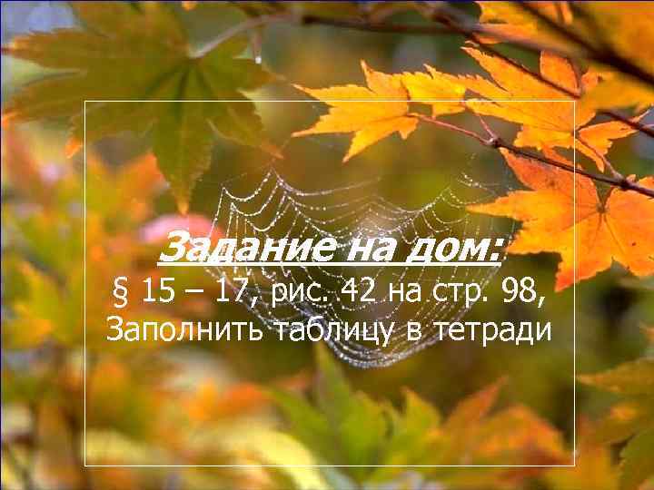   Задание на дом: § 15 – 17, рис. 42 на стр. 98,