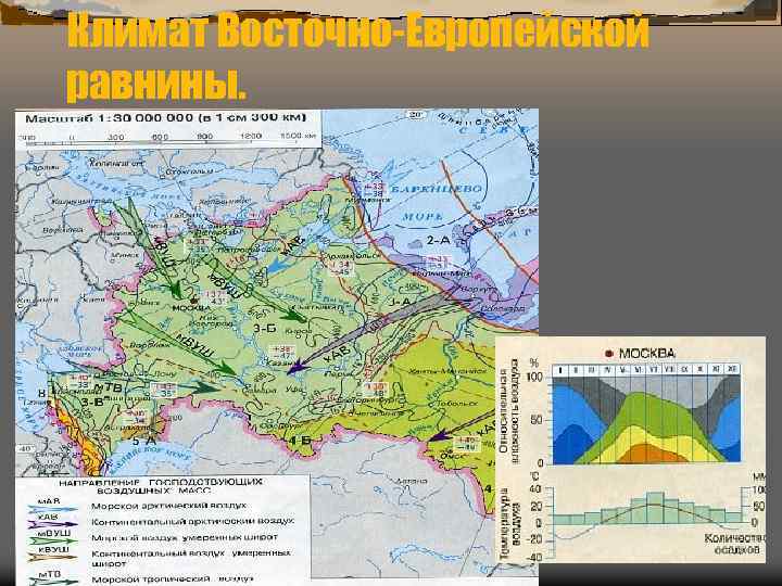 Климат Восточно-Европейской равнины. 