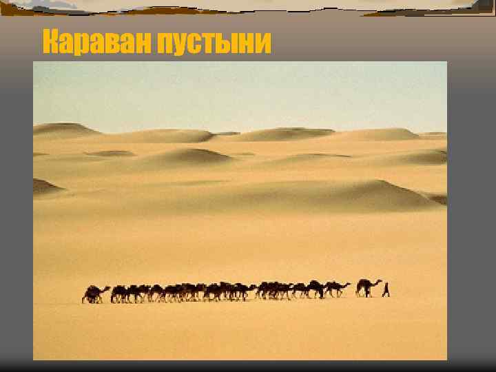 Караван пустыни 