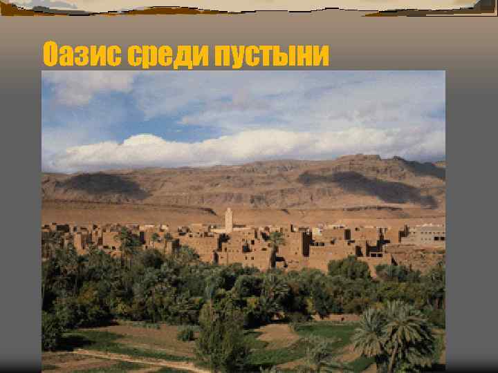 Оазис среди пустыни 