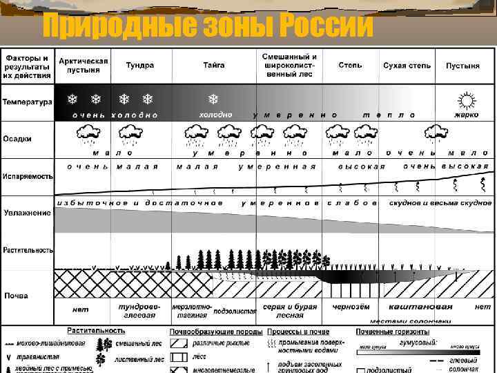 Природные зоны России 