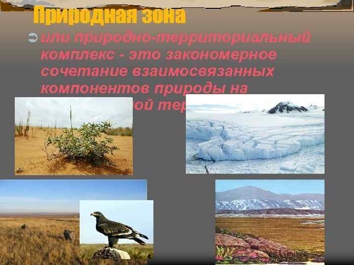 Природная зона Ü илиприродно-территориальный комплекс - это закономерное сочетание взаимосвязанных компонентов природы на определённой