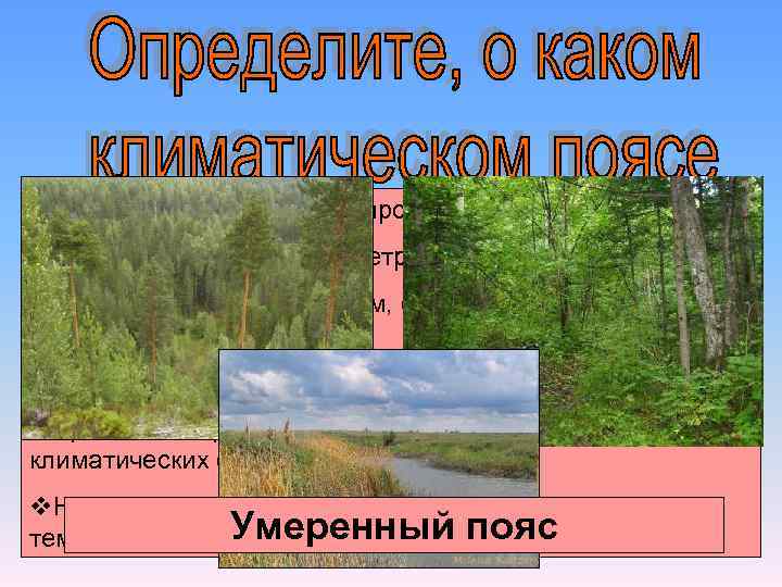 v. Пояс имеет наибольшую протяженность с севера на юг. v. Преобладают западные ветры. v.