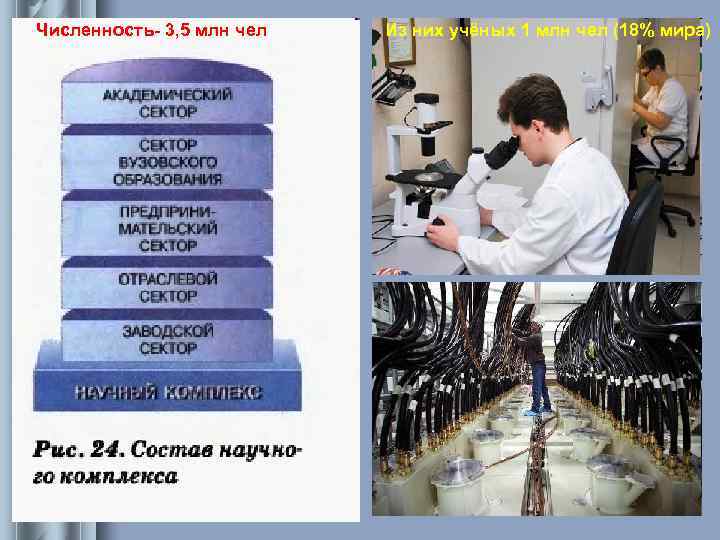 Численность- 3, 5 млн чел Из них учёных 1 млн чел (18% мира) Численность- 3, 5 млн чел Из них учёных 1 млн чел (18% мира)