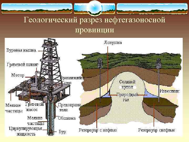 Геологический разрез нефтегазоносной   провинции 