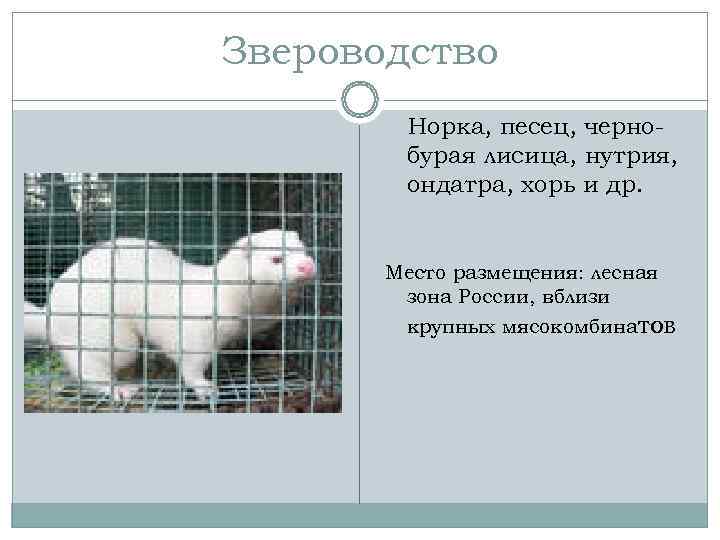 Звероводство   Норка, песец, черно-   бурая лисица, нутрия,   ондатра,