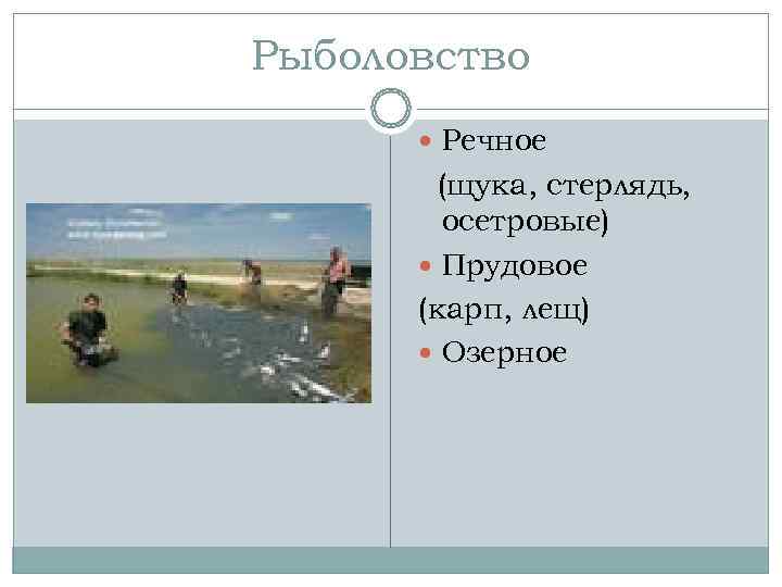 Рыболовство   Речное   (щука, стерлядь,   осетровые)   Прудовое