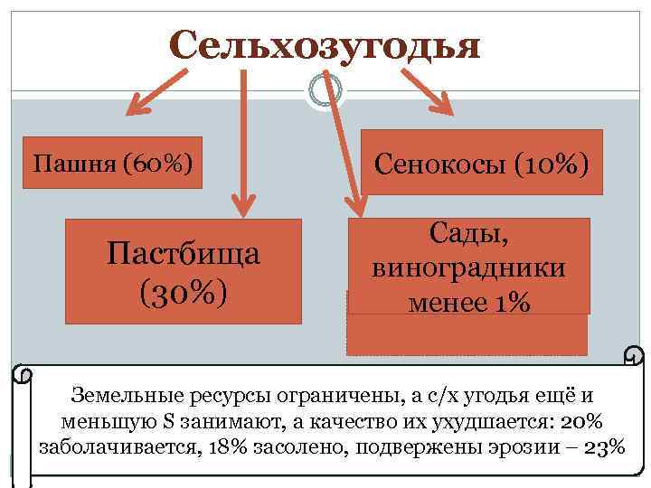   Сельхозугодья Пашня (60%)    Сенокосы (10%)    
