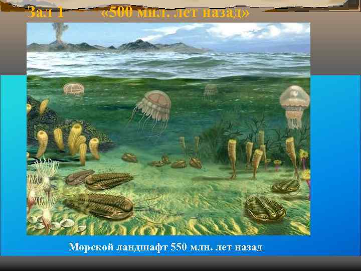 Зал 1 « 500 мнл. лет назад» Морской ландшафт 550 Зал 1 « 500 мнл. лет назад» Морской ландшафт 550