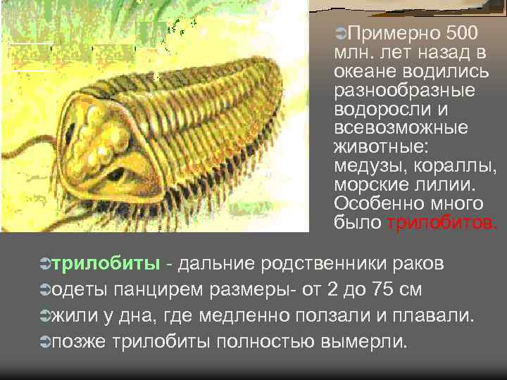 ÜПримерно 500 млн. лет ÜПримерно 500 млн. лет