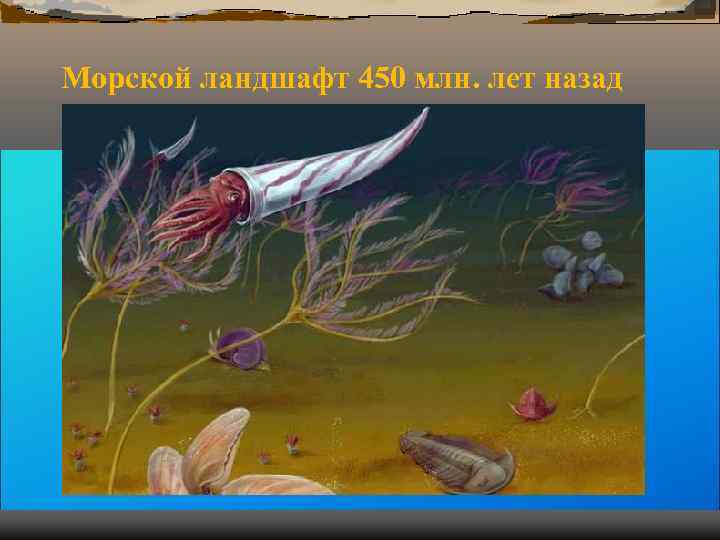 Морской ландшафт 450 млн. лет назад Морской ландшафт 450 млн. лет назад