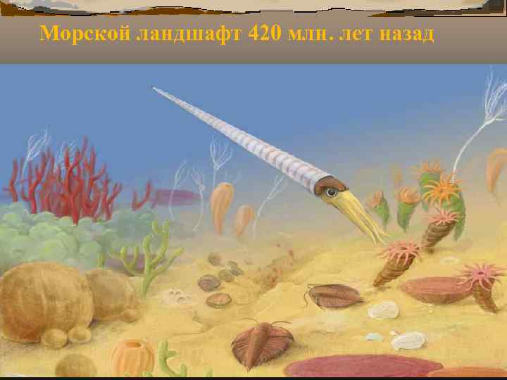 Морской ландшафт 420 млн. лет назад Морской ландшафт 420 млн. лет назад