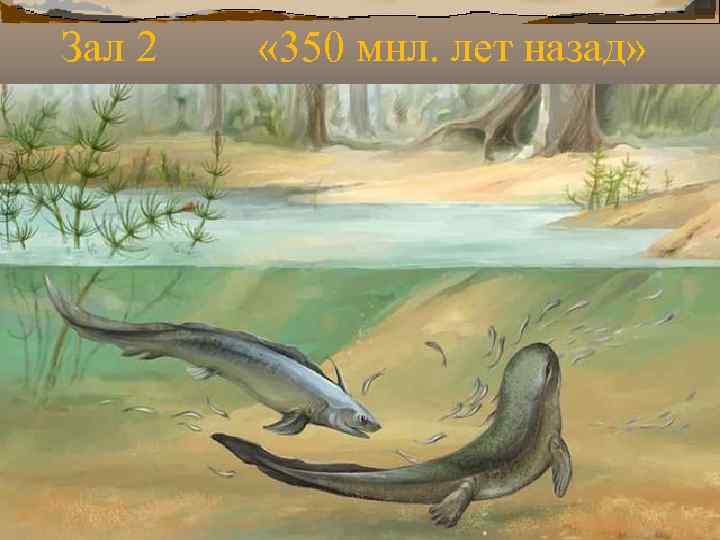 Зал 2 « 350 мнл. лет назад» Зал 2 « 350 мнл. лет назад»