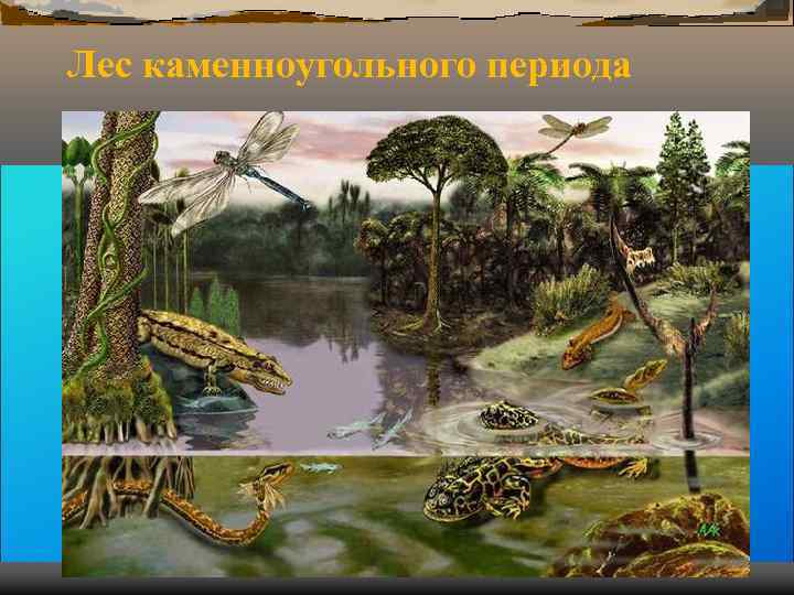 Лес каменноугольного периода Лес каменноугольного периода