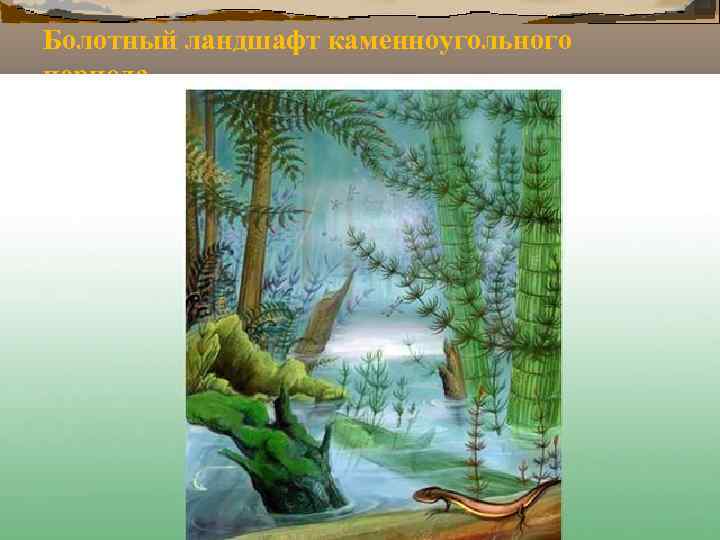 Болотный ландшафт каменноугольного периода Болотный ландшафт каменноугольного периода
