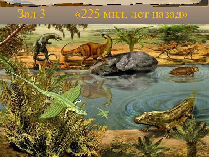 Зал 3 « 225 мнл. лет назад» Зал 3 « 225 мнл. лет назад»