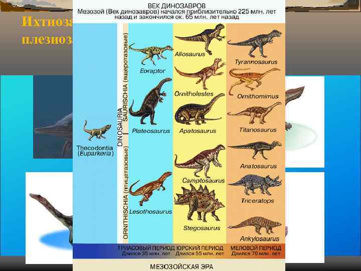 Ихтиозавр, ихтиостегазавр, нотозавр, плезиозавр Ихтиозавр, ихтиостегазавр, нотозавр, плезиозавр