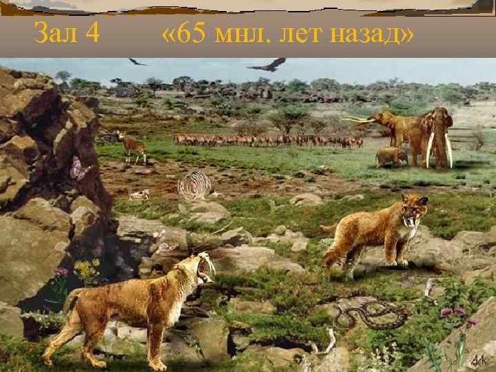 Зал 4 « 65 мнл. лет назад» Зал 4 « 65 мнл. лет назад»