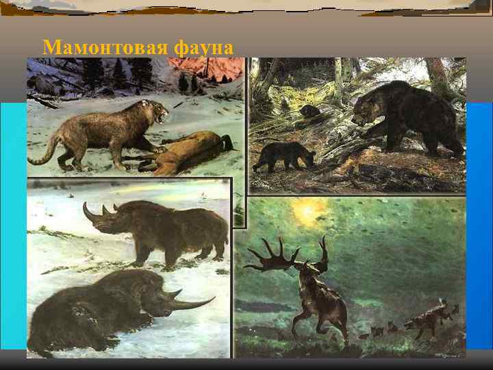 Мамонтовая фауна Мамонтовая фауна