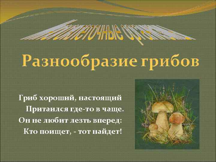 Гриб хороший, настоящий  Притаился где-то в чаще. Он не любит лезть вперед: 