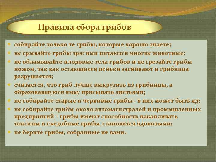    Правила сбора грибов  собирайте только те грибы, которые хорошо знаете;